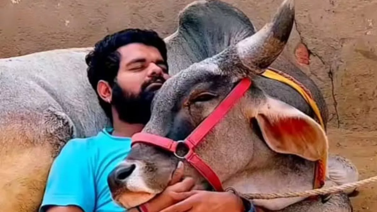Viral Video : आदमी और गाय के बीच प्यार देख आप भी हो जाएंगे मंत्रमुग्ध, वीडियो में नजर आया खूबसूरत रिश्ता