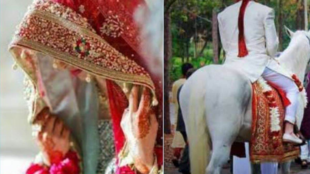 https://www.jagranimages.com/images/newimg/11062024/11_06_2024-_auraiya_news_23736780.jpg
