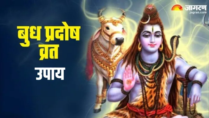 Budh Pradosh Vrat 2024: बुध प्रदोष व्रत पर पूजा के समय करें ये खास उपाय