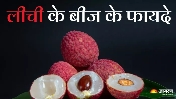 लीची के बीज के फायदे (Picture Credit- Freepik)