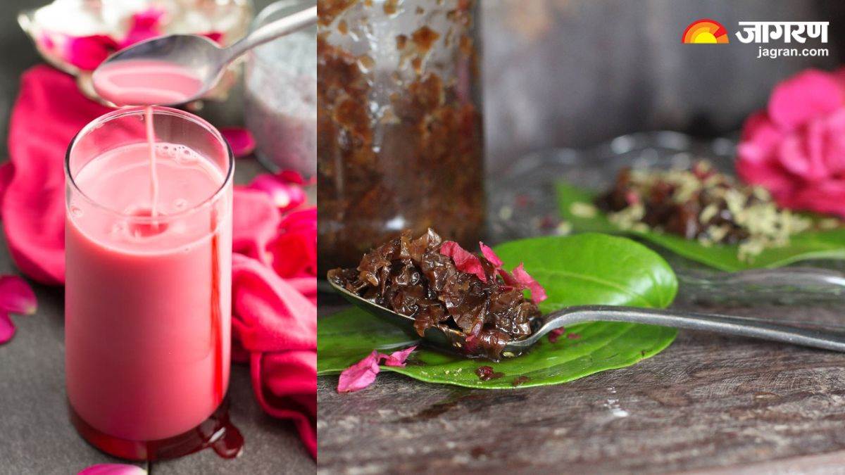 https://www.jagranimages.com/images/newimg/11062024/11_06_2024-paan_gulkand_sharbat_recipe_23736698.jpg
