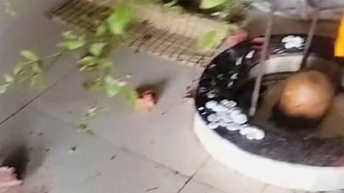 vandalism in shiva temple tension in bhatiyana village police investigation ongoing