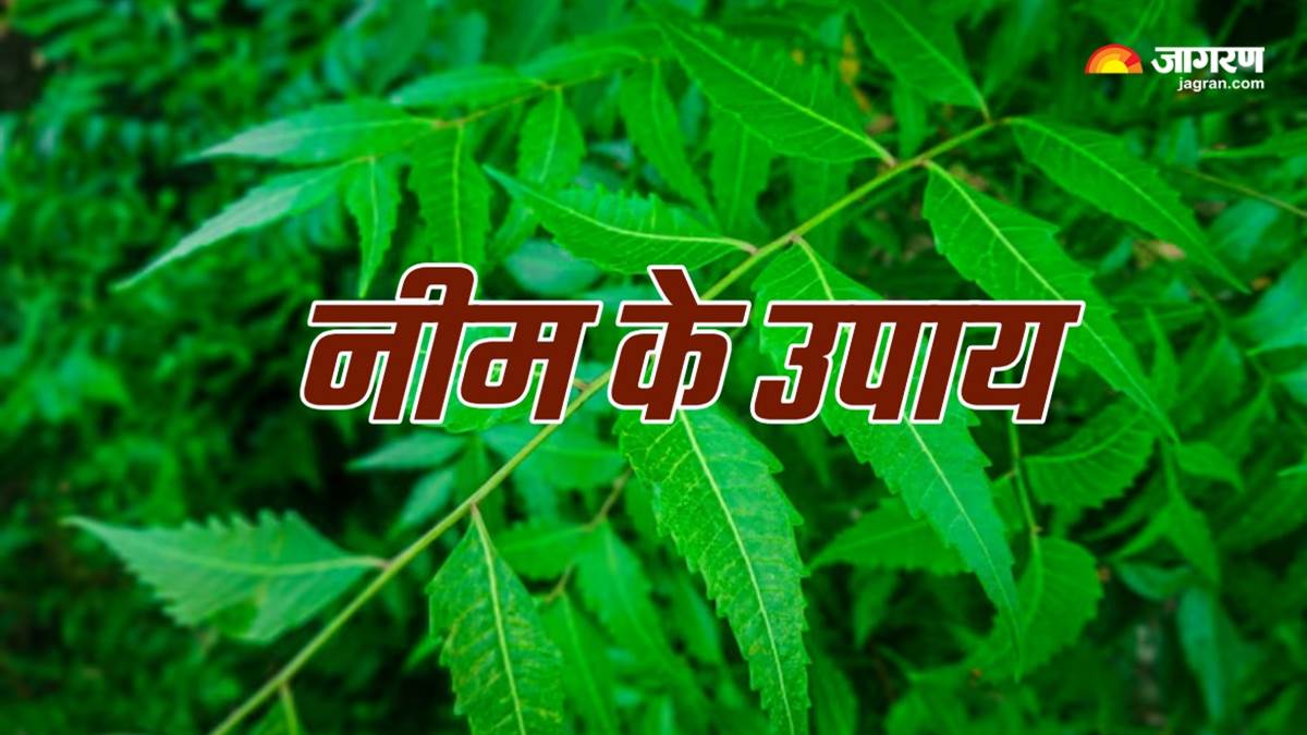 https://www.jagranimages.com/images/newimg/11062025/11_06_2025-neem_ke_upay_23961479.jpg