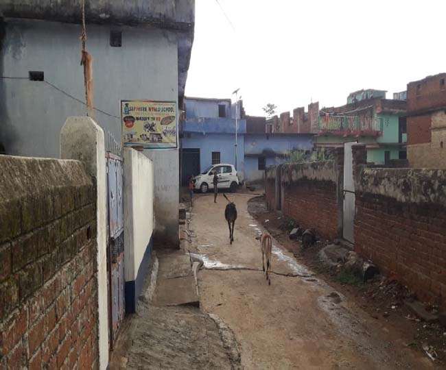 Mera Gaon Mera Desh: कोरोना भी नहीं हिला सका माहुरी का अर्थतंत्र, विदेशी मुद्रा से चमक रही गांव की तस्वीर
