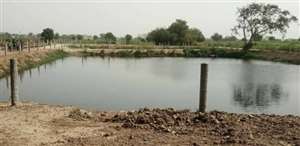 सहेज लो हर बूंद : जल संरक्षण के लिए 31 गांव में तैयार हो रहे तालाब