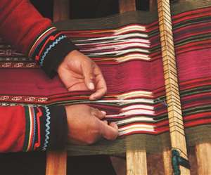 बिहार का सिल्&zwj;क विजेल आज विरान हो गया है।