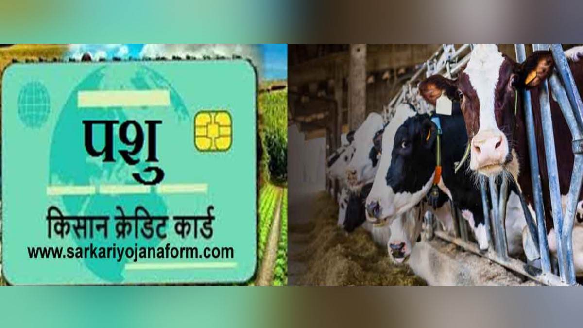 pasgudhan credit card scheme for farmers get loan up to three lakh for animal husbandry apply online