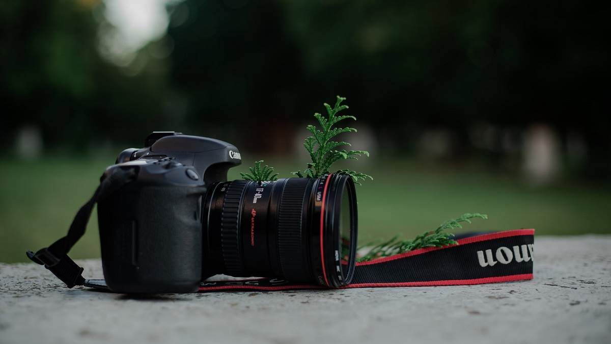 Best DSLR Camera: इन कैमरा की फोटो क्वालिटी देख बन जायेंगे इनके फैन, प्रोफेशनल्स के बीच मचा रहे हैं बवाल