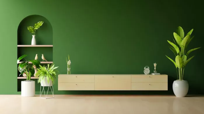 Mood Boosting Paint Colors: मूड को अच्छा रखने वाले रंग