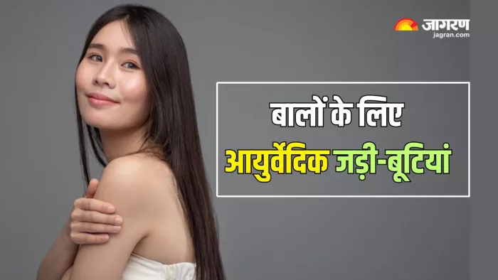बालों के लिए संजीवनी हैं ये जड़ी-बूटियां (Picture Courtesy: Freepik)