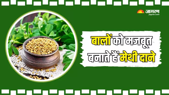 Methi के इस्तेमाल से मिलेंगे मजबूत बाल (Picture Courtesy: Freepik)