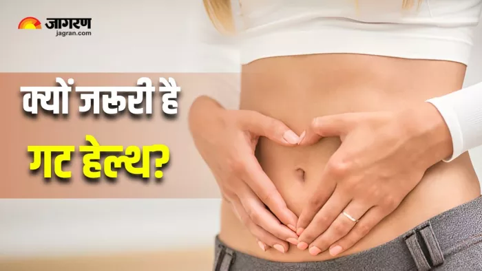 डॉक्टर ने बताया कैसे स्किन, मूड और इम्युनिटी से जुड़ी है आपकी Gut Health (Image Source: Freepik)