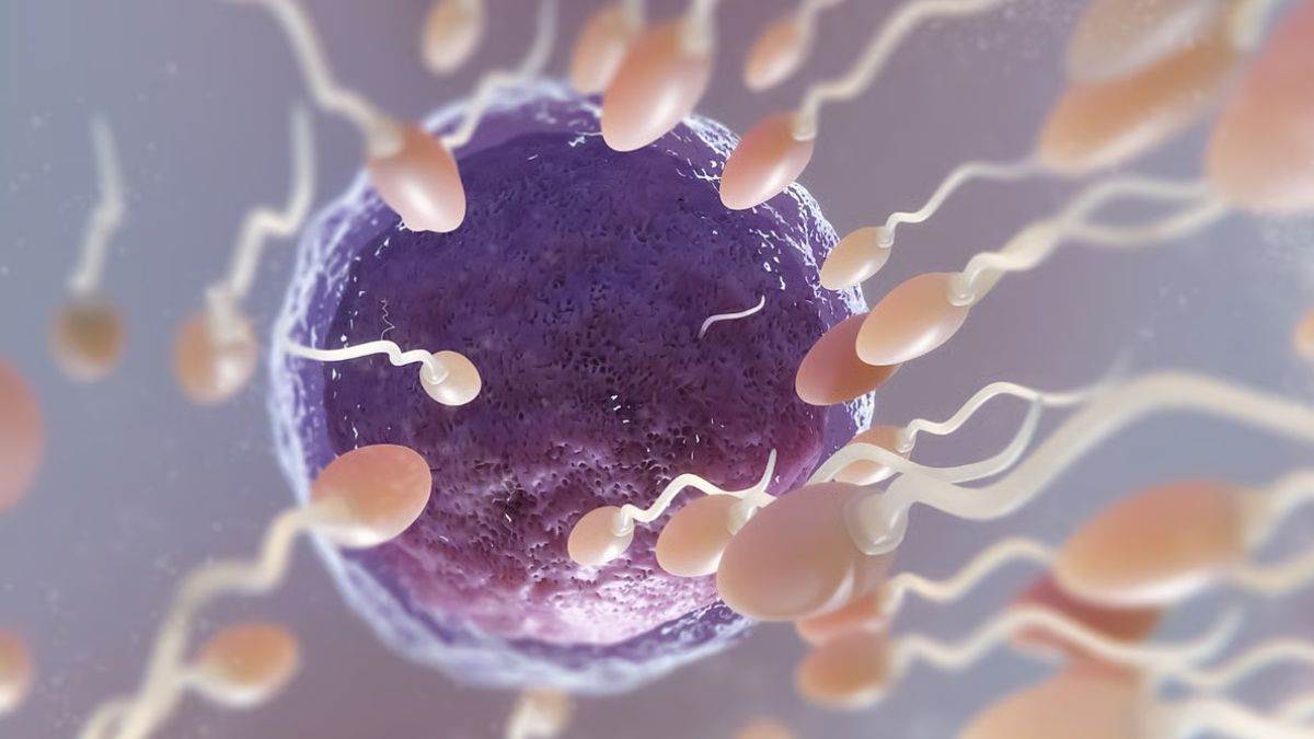 https://www.jagranimages.com/images/newimg/11072025/11_07_2025-why_is_sperm_donation_increasing_23981216.jpg