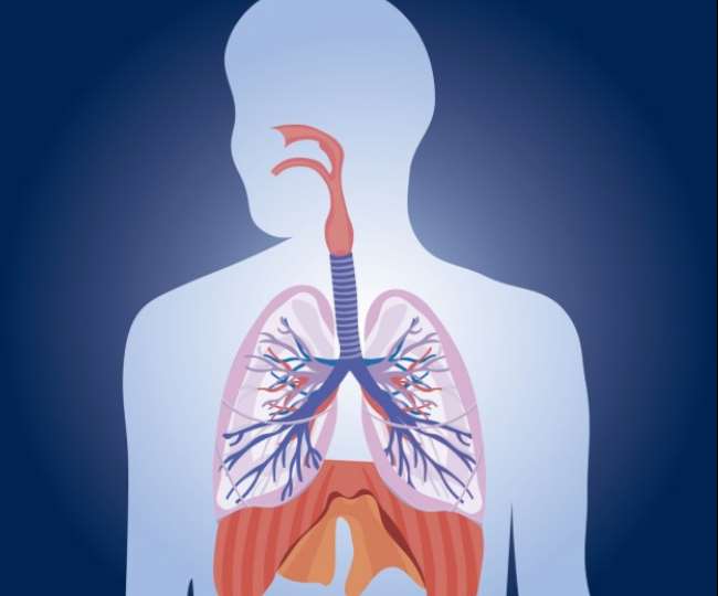 Take extra care of your lungs to prevent from corona infection - कोविड  संंक्रमण के इस दौर में फेफड़ों को रखें स्वस्थ और सुरक्षित इन उपायों के साथ