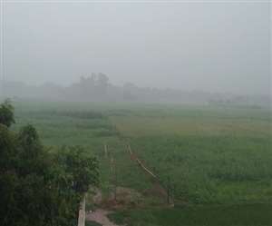 मौसम विभाग ने यूपी बिहार सहित इन राज्यों में भारी बारिश की अलर्ट जारी किया (फोटो जागरण)