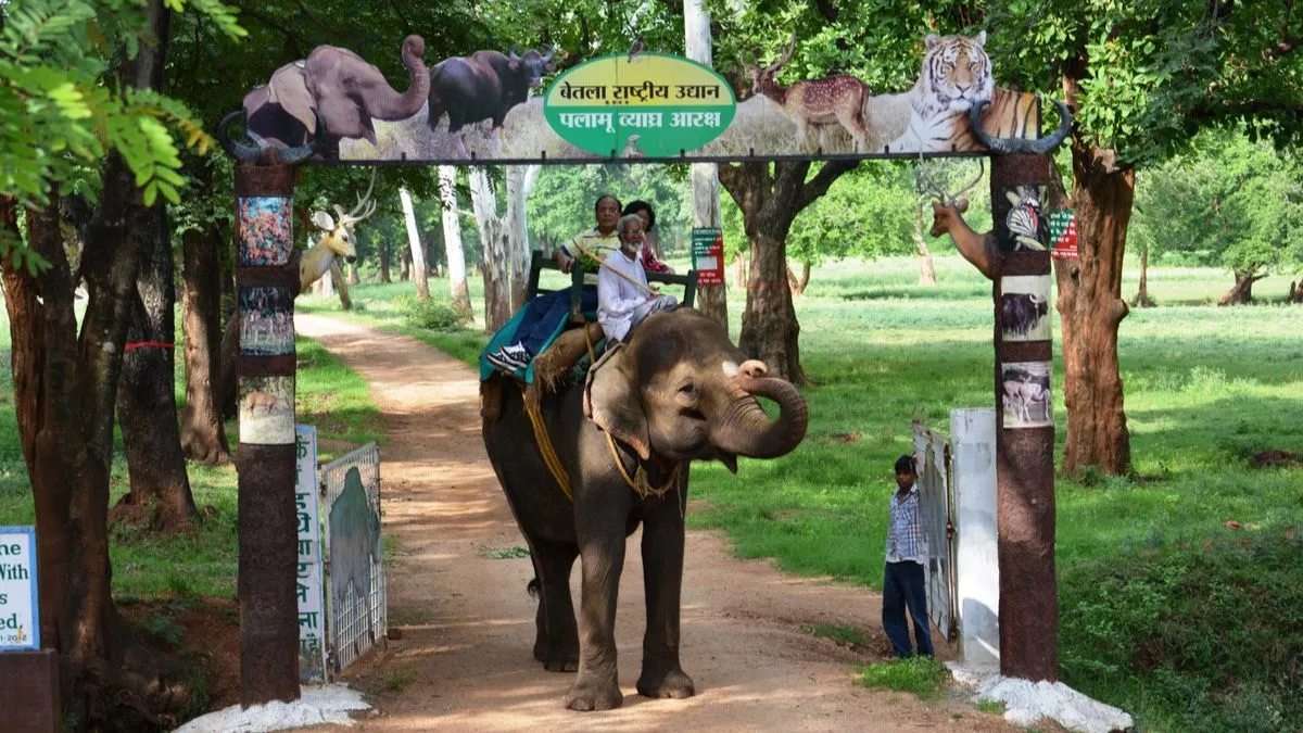 World Elephant Day: झारखंड में बेतला हाथियों का सबसे बड़ा बसेरा, जानिए