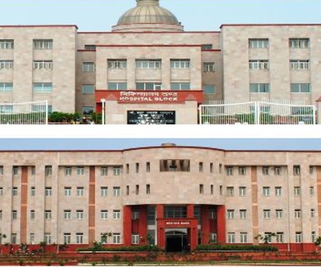 चौधरी ब्रह्म प्रकाश आयुर्वेद चरक संस्थान (फाइल फोटो)