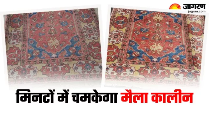 Cleaning Tips: कालीन को साफ करने के लिए अपनाएं ये ट्रिक्स, हो जाएगा नए जैसा (Image Source: Freepik)