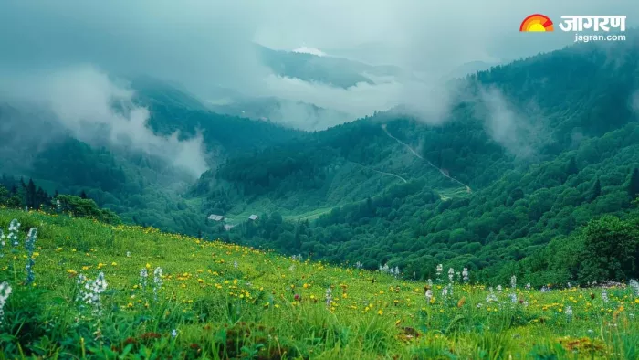 आईआरसीटीसी दोआर और कलिम्पोंग टूर पैकेज (Pic credit- freepik)