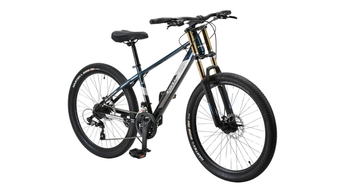 https://www.jagranimages.com/images/newimg/11082024/11_08_2024-mtb_cycle_23776316.jpg