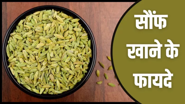 सौंफ खाने से सेहत को मिलते हैं कई फायदे (Image Credit- Freepik)