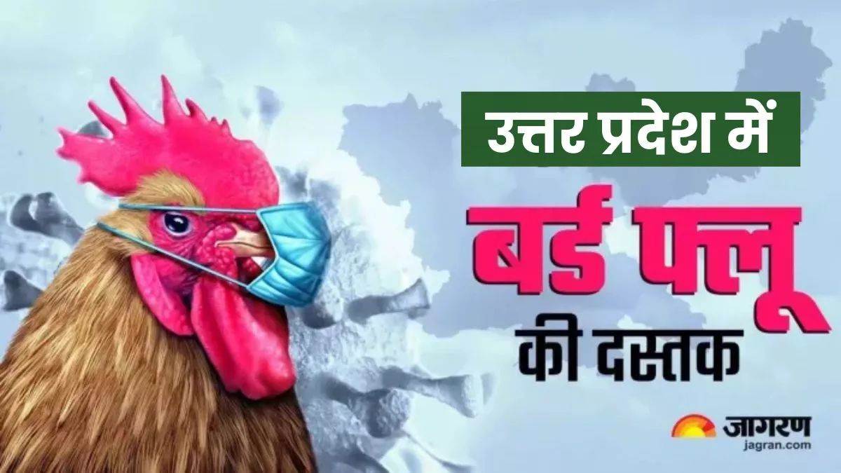 https://www.jagranimages.com/images/newimg/11082025/11_08_2025-birl_flu_in_up_24009618.jpg