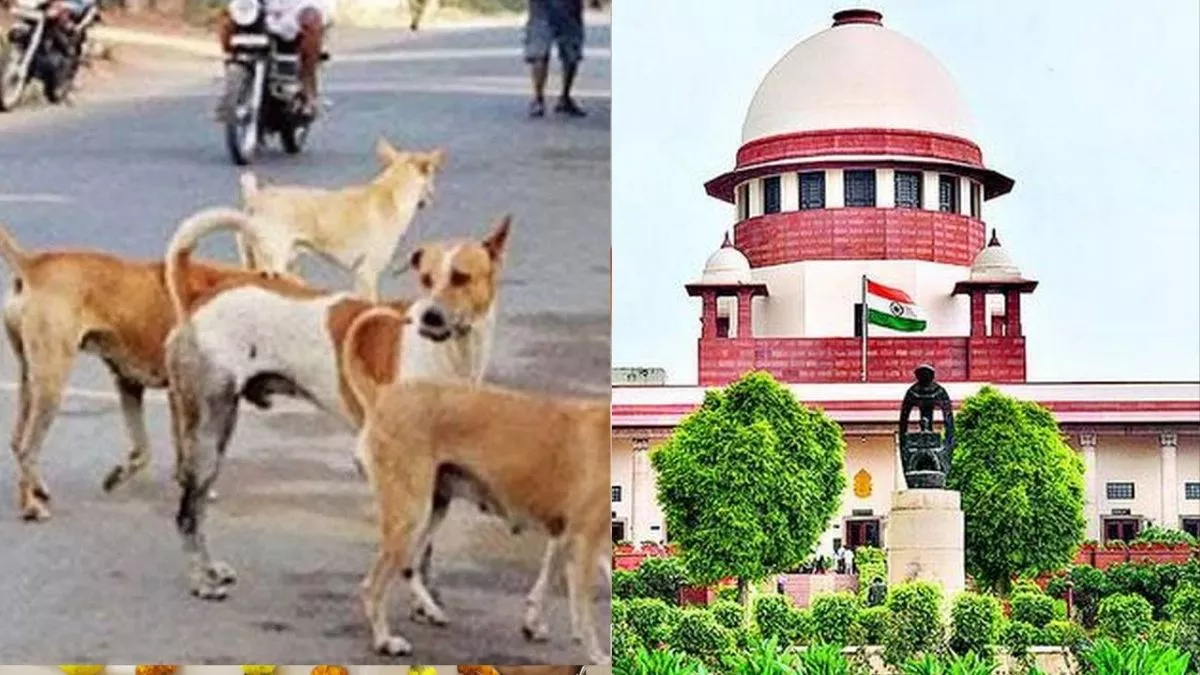 जागरण संपादकीय: आवारा कुत्तों पर सुप्रीम कोर्ट का आदेश, आठ हफ्तों में आश्रय गृहों में डाला जाए