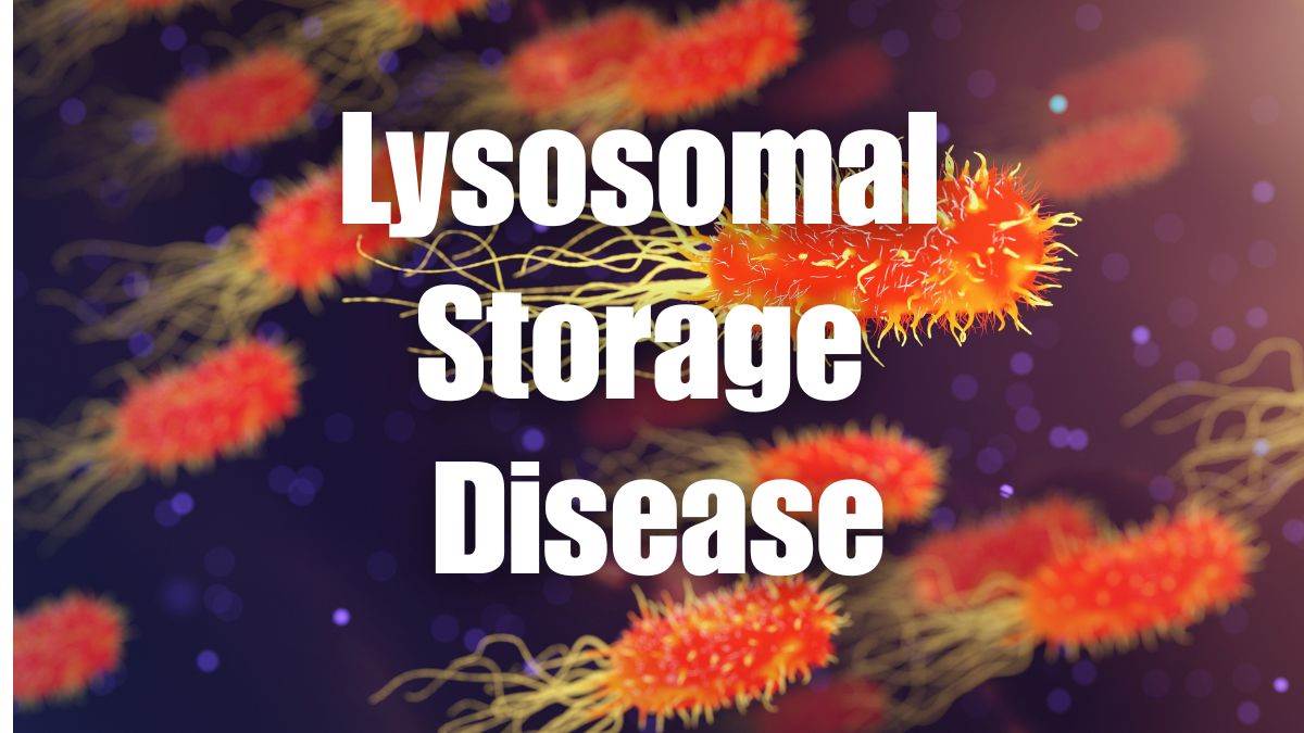 https://www.jagranimages.com/images/newimg/11082025/11_08_2025-lysosomal_storage_disease_24010231.jpg