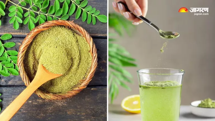 रोज एक चम्मच Moringa Powder खाने के फायदे (Image Source: Freepik)