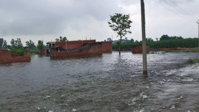 बाढ़ के कारण मकानों पर मंडराया खतरा। जागरण