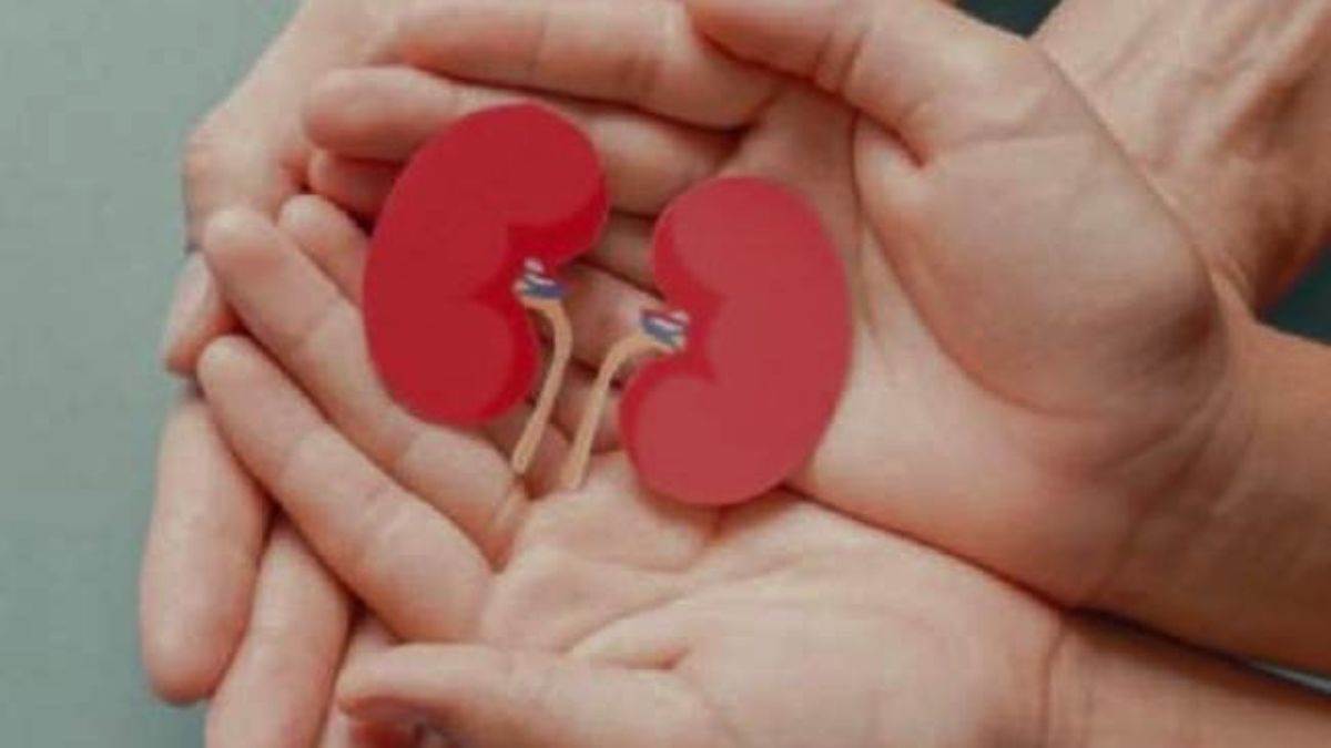 https://www.jagranimages.com/images/newimg/11082025/11_08_2025-organ_donate_health_ministry_24009476.jpg