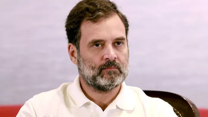 राहुल गांधी के 'वोट चोरी' के आरोप पर कर्नाटक के मंत्री का बयान। फाइल फोटो
