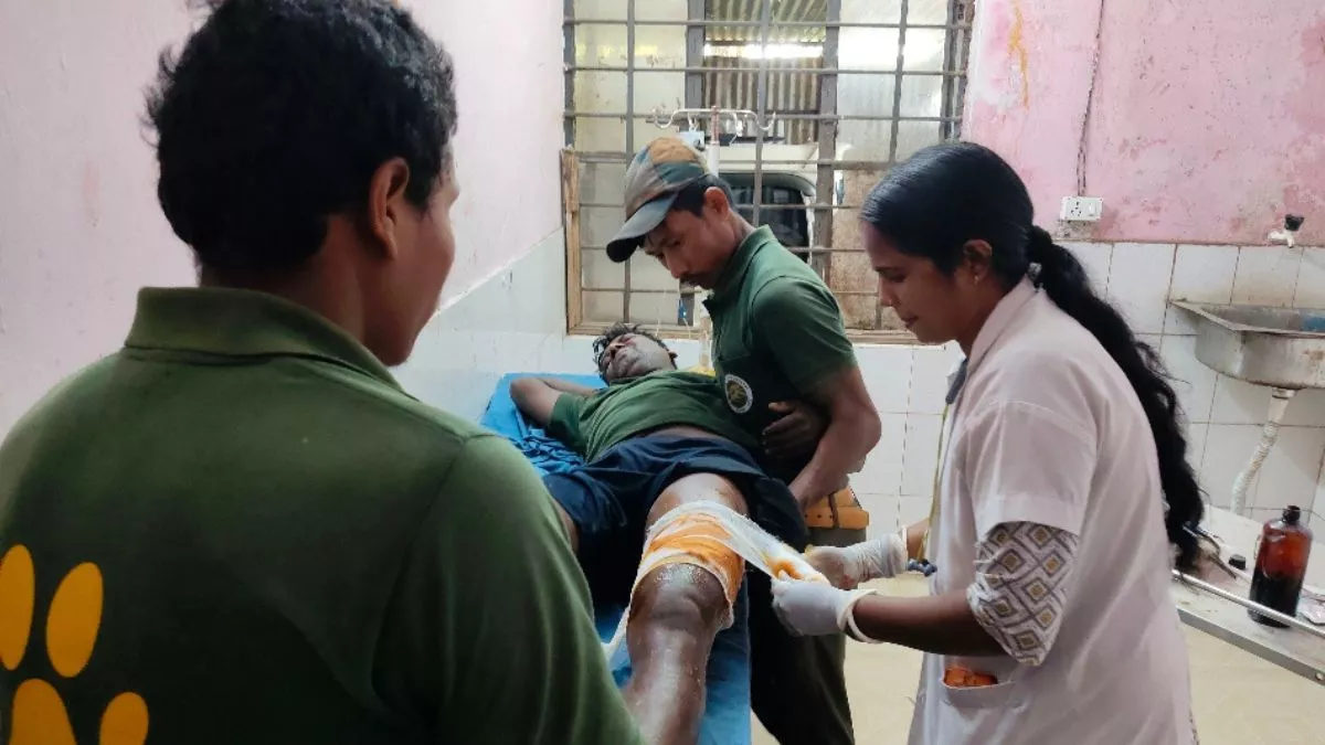 Bihar News: पश्चिम चंपारण में बाघ के हमले में किसान की मौत, एक वनकर्मी भी जख्मी, इलाके में दहशत