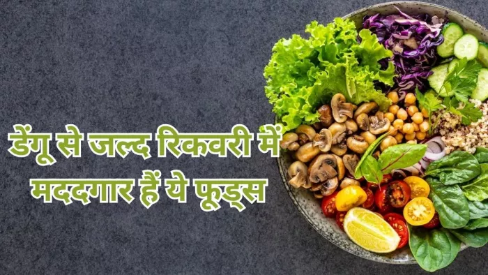 डेंगू से जल्दी ठीक होने के लिए खाएं ये फूड्स