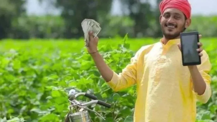 फसल बीमा व नुकसान के लिए किसानों को नहीं करना होगा इंतजार। (प्रतीकात्मक तस्वीर)