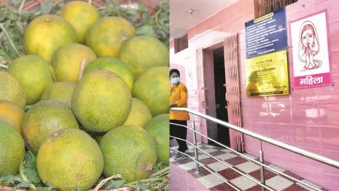 पिंक टॉयलेट बना मौसम्बी का गोदाम, महिलाएं परेशान (फाइल फोटो)