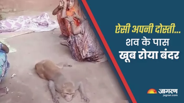 ये दोस्ती हम नहीं छोड़ेंगे...किसान की मौत के बाद शव के पास खूब रोया बंदर, महिलाओं ने बंधाया ढांढस