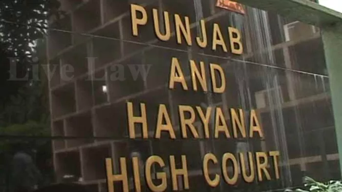 HC के अंतिम फैसले पर निर्भर है 78 नायब तहसीलदारों की नियुक्ति