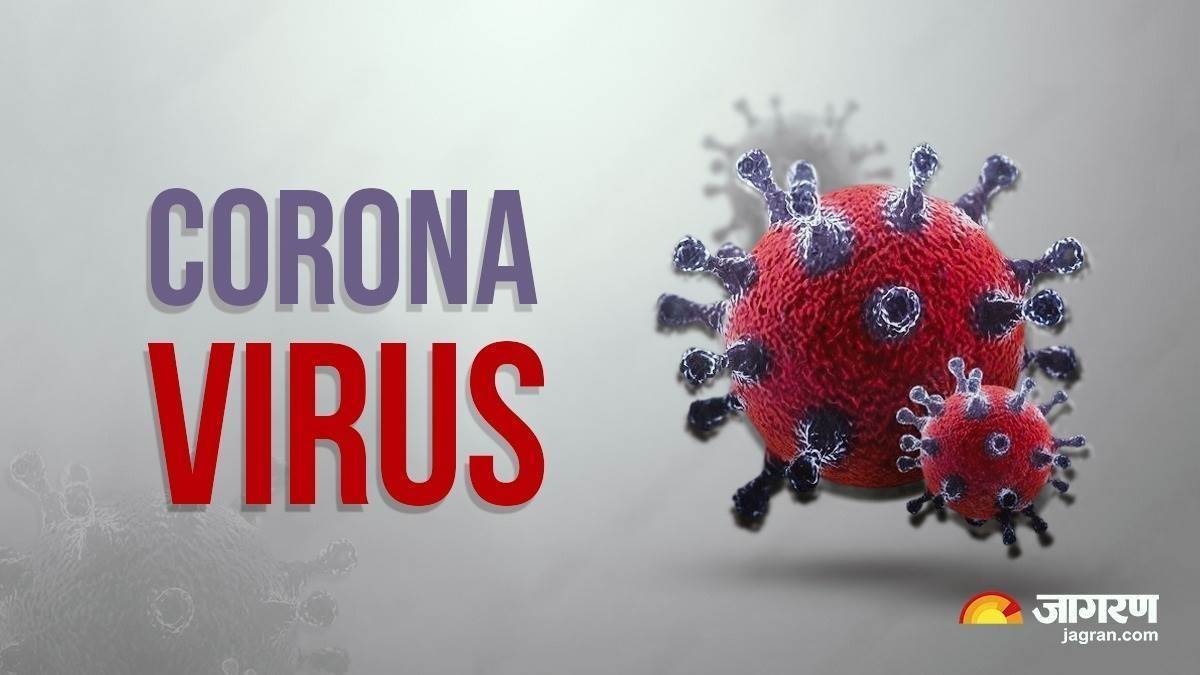 corona new subvariant xec may increase danger more than kp3 corona wreak havoc doctors warn