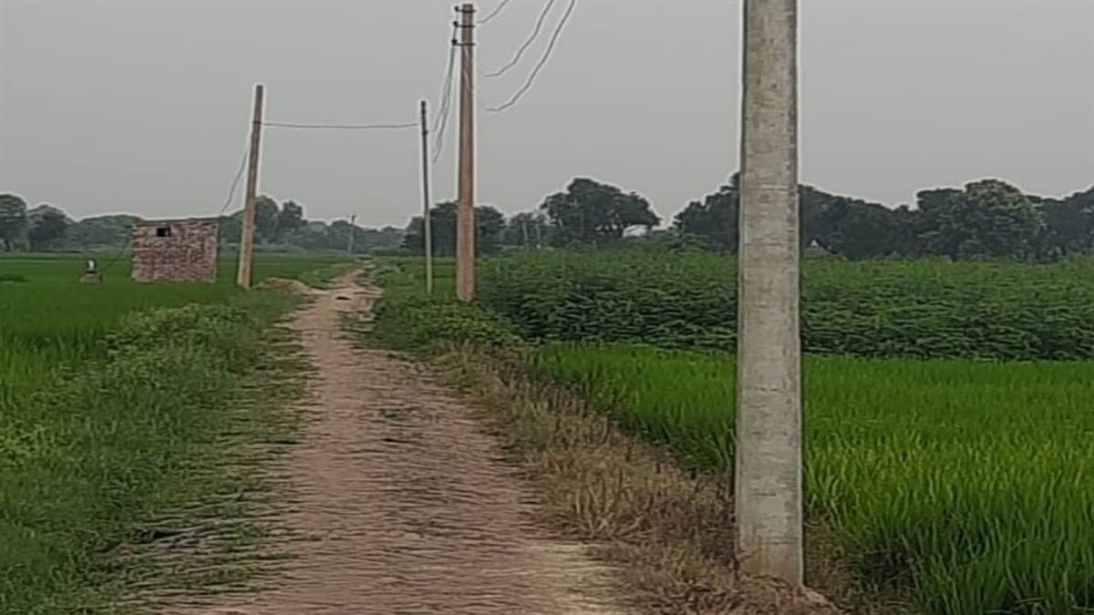 https://www.jagranimages.com/images/newimg/11092025/11_09_2025-bjp_24043715.jpg