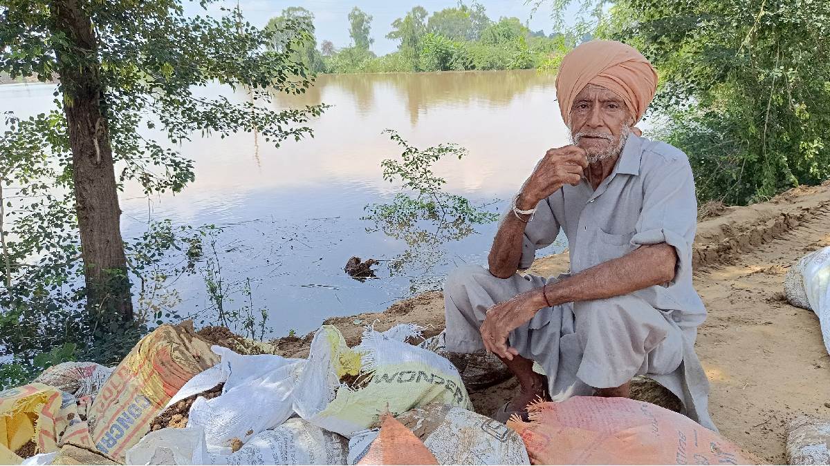 https://www.jagranimages.com/images/newimg/11092025/11_09_2025-farmer_punjab_24043498.jpg