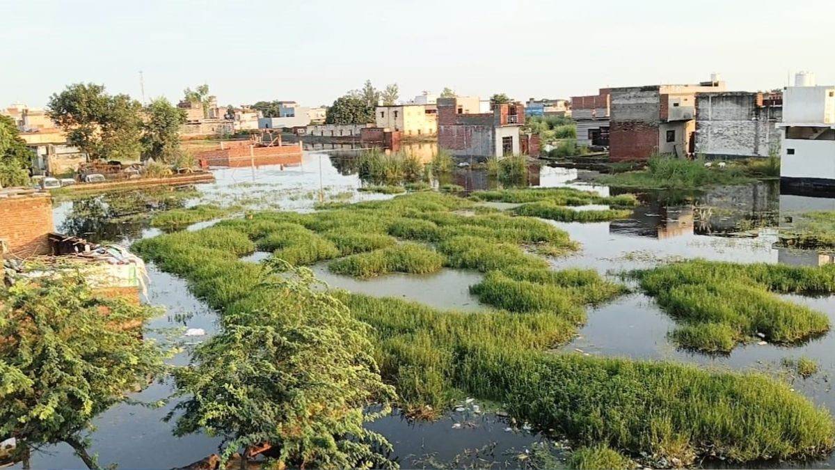 https://www.jagranimages.com/images/newimg/11092025/11_09_2025-hapur_65_24043772.jpg