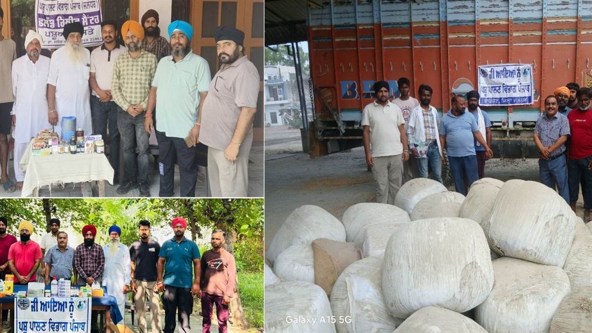 https://www.jagranimages.com/images/newimg/11092025/11_09_2025-jalandhar_flood_24043888.jpg