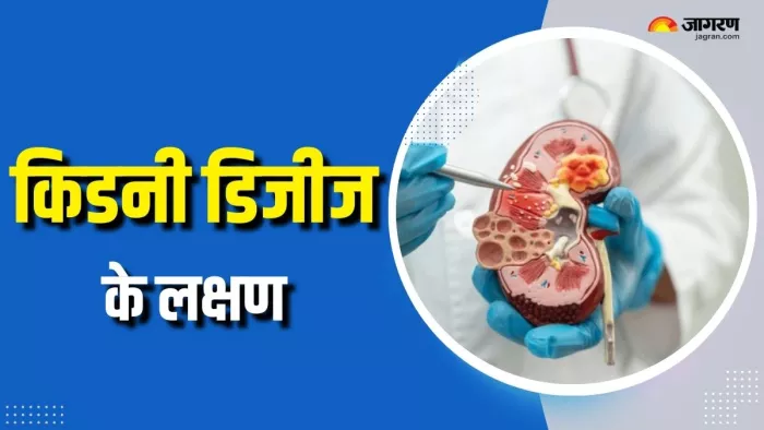 किडनी डिजीज के इन लक्षणों को न करें इग्नोर (Picture Courtesy: Freepik)