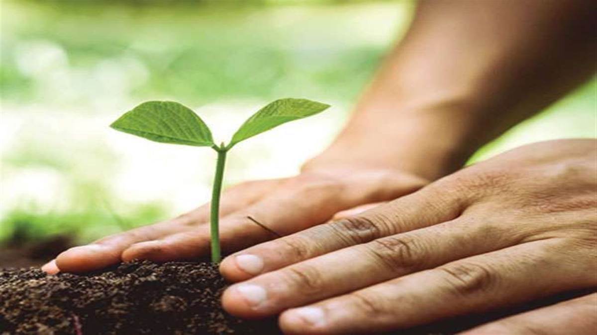 https://www.jagranimages.com/images/newimg/11092025/11_09_2025-plantation_24042958.jpg