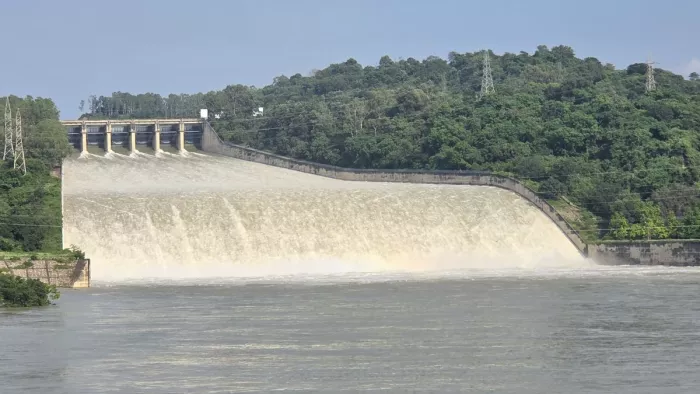 पौंग बांध से वीरवार दोपहर बाद छोड़ा गया पानी। जागरण