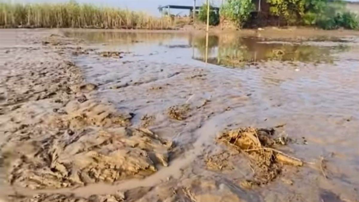 https://www.jagranimages.com/images/newimg/11092025/11_09_2025-post_flood_damage_24043774.jpg