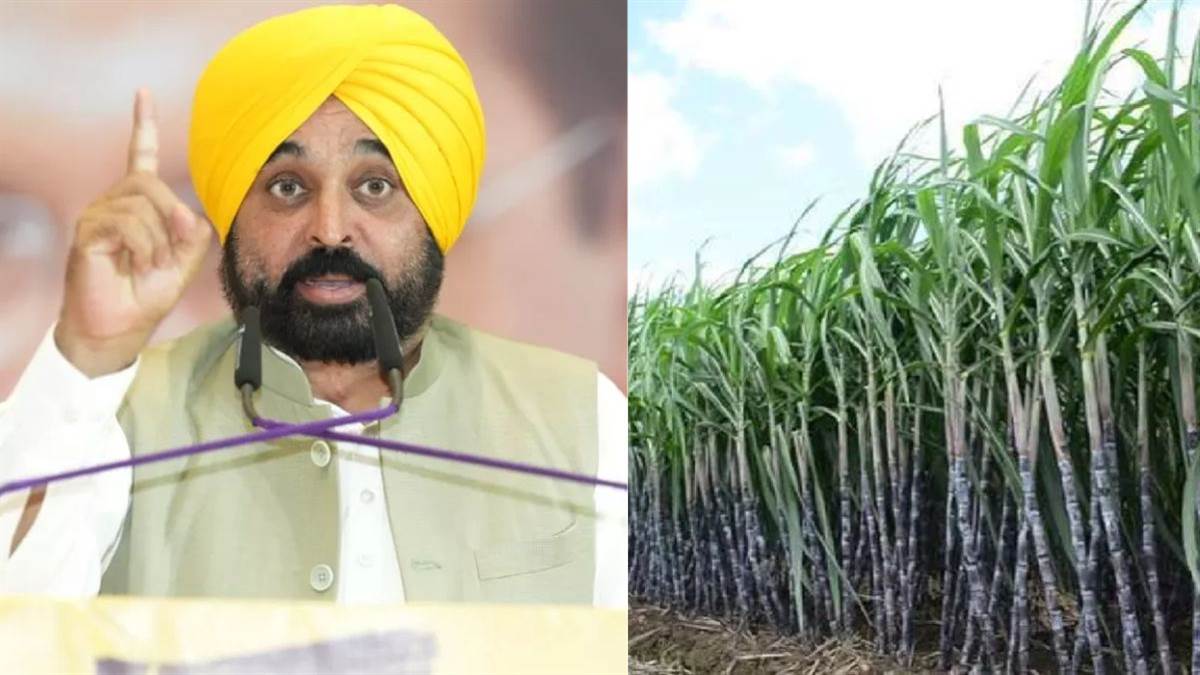 https://www.jagranimages.com/images/newimg/11092025/11_09_2025-punjab_farmer_24043682.jpg