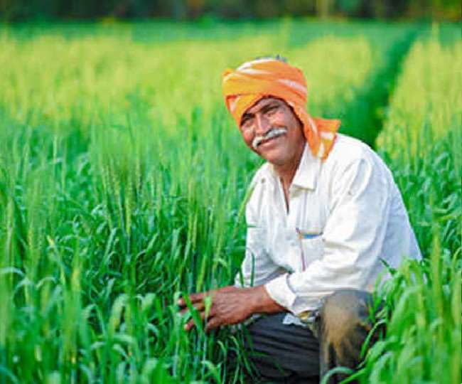 उत्तर प्रदेश के सभी जिलों में सोमवार से पीएम किसान समाधान अभियान शुरू हो रहा है।