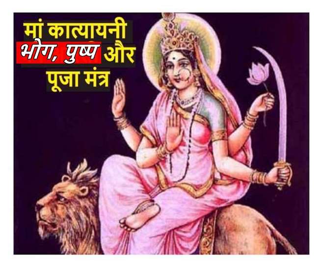 News Article Hero Image